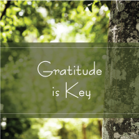 Gratitude is Key TAK 240